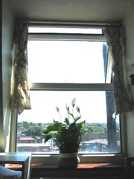 Property for Sale